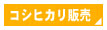 コシヒカリ販売